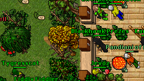 Kangrys on screen