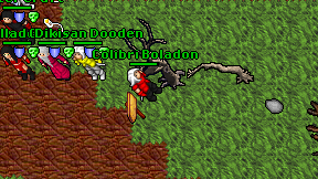 Colibri Boladon on screen