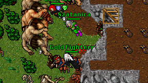 Gold Fighterr on screen