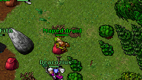 Maped druid on screen