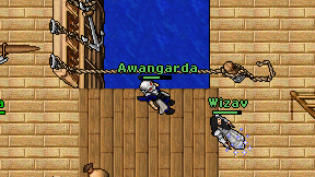 Awangarda on screen