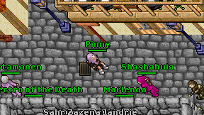 Pinny on screen