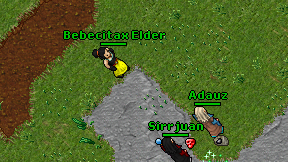 Bebecitax Elder on screen