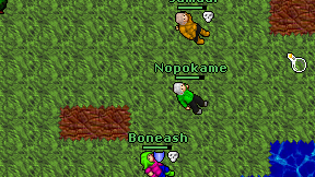 Nopokame on screen