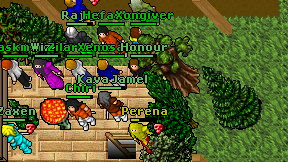 Perena on screen