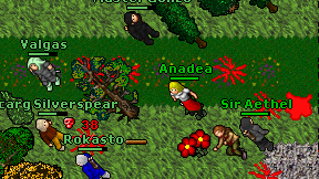 Anadea on screen