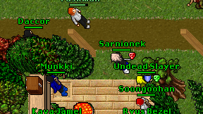 Sarnionek on screen
