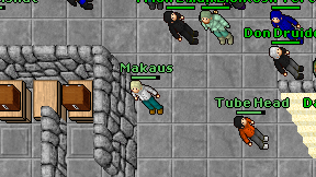 Makaus on screen