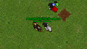 Meni-Druid on screen