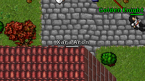 Xara Aron on screen