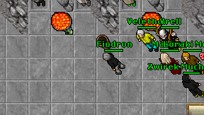 Fiodron on screen