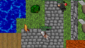 Noduj on screen