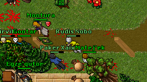 Rudis Nobo on screen