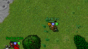 Pek'er on screen