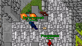 Infernusek on screen
