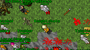 Knight chato on screen