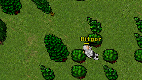 Hitgor on screen