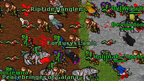 Fortusys Lamin on screen