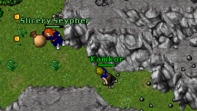 Kamkor on screen
