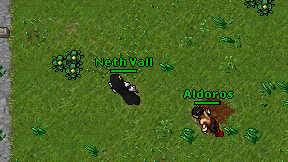 Neth Vall on screen
