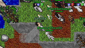 Nehila on screen