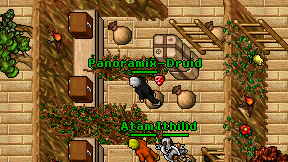 Panoramix-Druid on screen