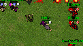 Neilz on screen