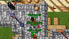 Visitoris on screen