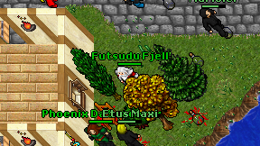 Futsudu Fjell on screen