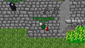 Morrisville on screen