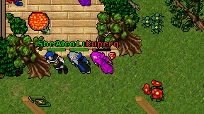 Kuperq on screen
