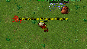 Sebastian Dragon Slayer on screen
