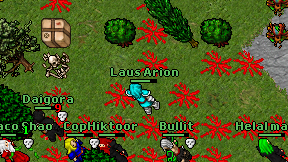 Laus Arion on screen