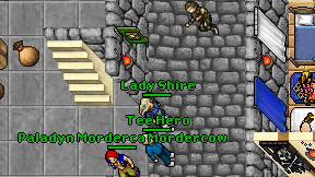 Lady Shire on screen