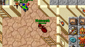 Haneek on screen