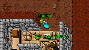 Niurka on screen