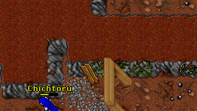 Chichforu on screen