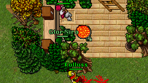 Glor Nira on screen