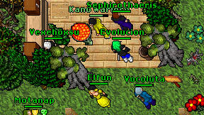 Evolucion on screen