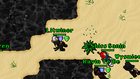 Litwinor on screen