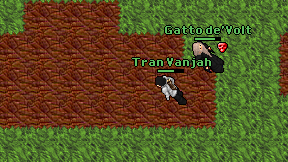 Tran Vanjah on screen