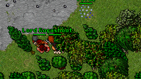 Forashoot on screen