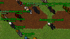 Waradik on screen