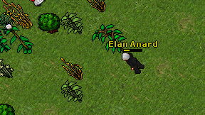 Elan Anard on screen
