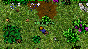 Trut Drah on screen
