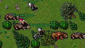 Magin Granja on screen