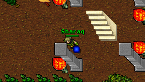 Sharaq on screen