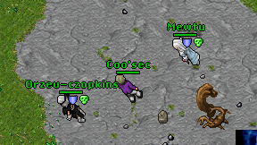 Coo'sec on screen