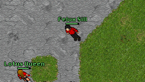 Felux Sill on screen