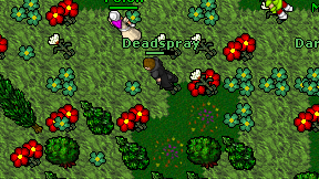 Deadspray on screen